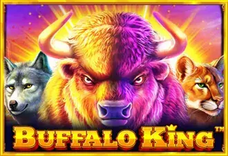 Buffalo King coverImage