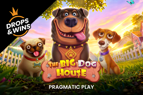 The Big Dog House coverImage