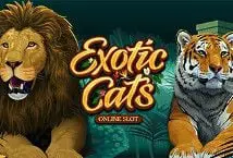 Exotic Cats coverImage