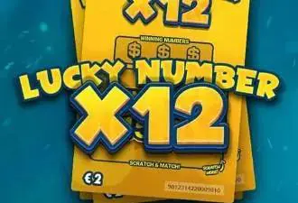 Lucky Numbers x12 coverImage