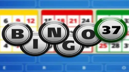 Bingo 37 coverImage