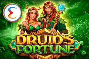 Druids Fortune coverImage