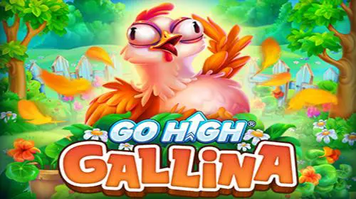 Go High Gallina coverImage