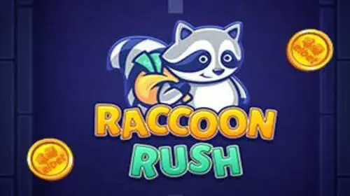 Raccoon Rush coverImage