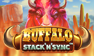 Buffalo Stack 'n' Sync coverImage