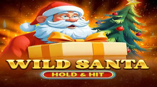 Wild Santa - Hold & Hit coverImage