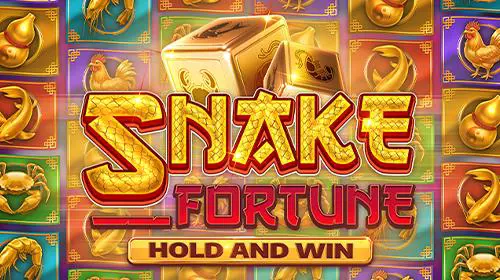 Snake Fortune Hold and Win coverImage