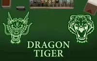 Dragon Tiger coverImage