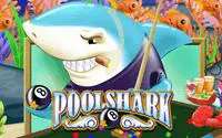 Pool Shark coverImage