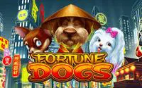 Fortune Dogs coverImage