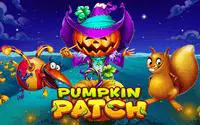 Pumpkin Patch coverImage