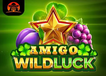 Amigo Wild Luck coverImage