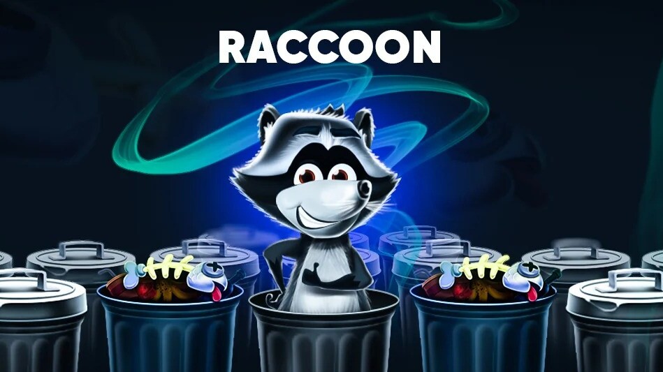 Raccoon coverImage