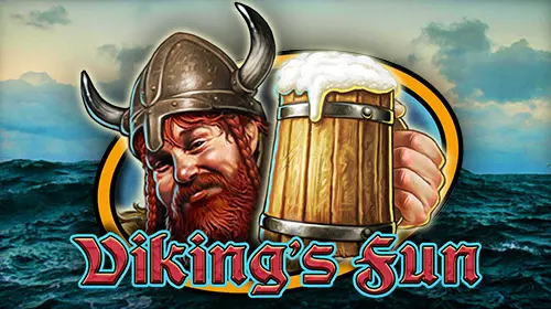 Viking's Fun coverImage