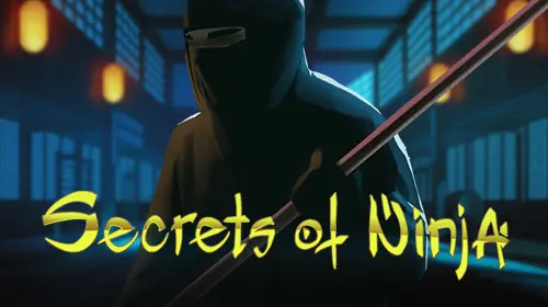 Ninja coverImage