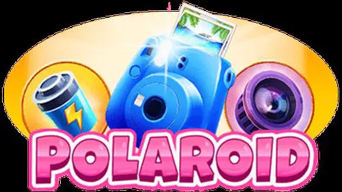Polaroid coverImage