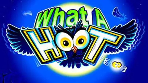 What a Hoot coverImage