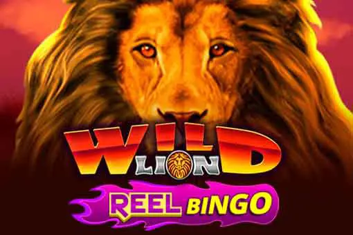 Wild Lion + Reel Bingo 95 coverImage