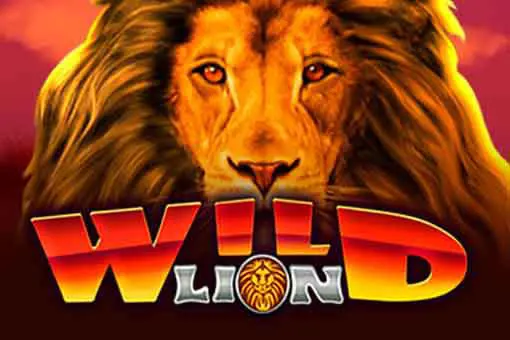Wild Lion 95 coverImage