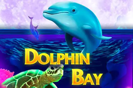 Dolphin Bay 93 coverImage
