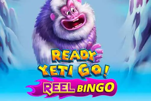 Ready Yeti Go + Reel Bingo coverImage
