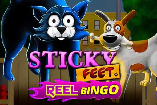Sticky Feet + Reel Bingo 95 coverImage
