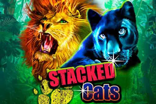 Stacked Cats 95 coverImage