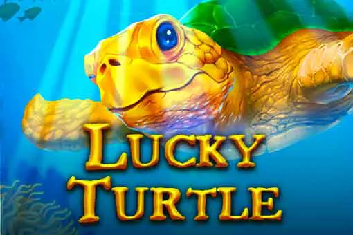 Lucky Turtle 97 coverImage