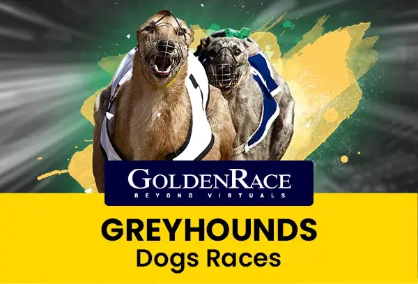 Dog Races coverImage