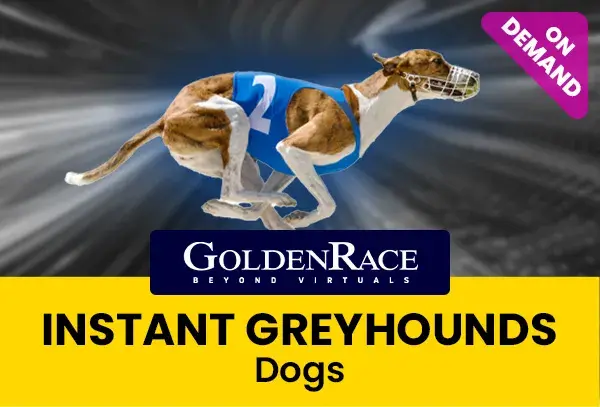 Dog - On Demand coverImage