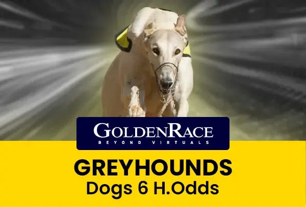 Dog 6 H.Odds coverImage