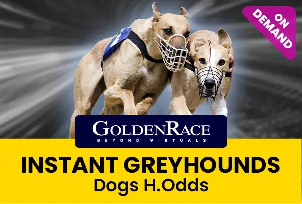 Dog H.Odds - ondemand coverImage