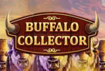 Buffalo Collector coverImage