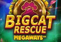 Big Cat Rescue Megaways coverImage