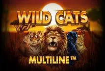 Wild Cats Multiline coverImage