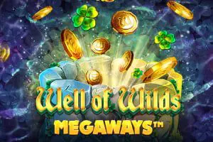 Well of Wilds Megaways coverImage