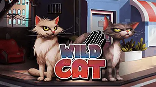 Wild Cat coverImage