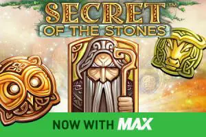 Secret of the Stones coverImage
