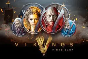 Vikings Video Slot coverImage