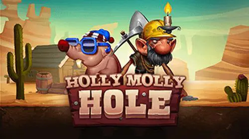 Holly Molly Hole coverImage