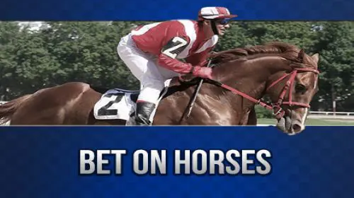 Horses-6 coverImage