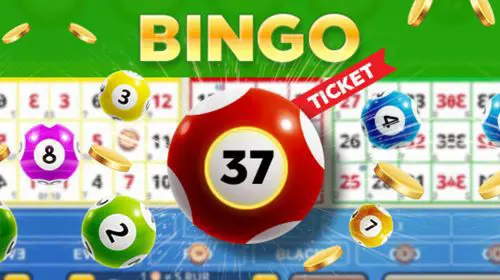 Bingo 37 coverImage