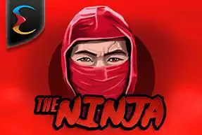 Ninja coverImage
