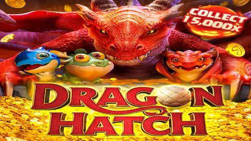 Dragon Hatch coverImage