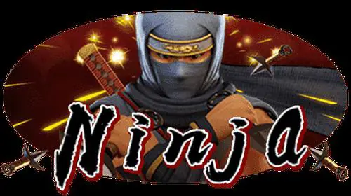 Ninja coverImage