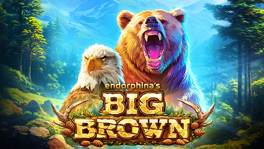 Big Brown coverImage