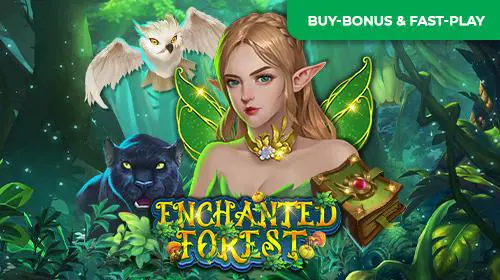 Enchanted Forest coverImage