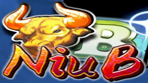 Niu B coverImage