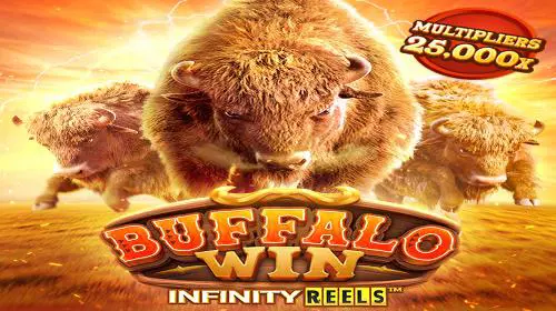 Buffalo Win coverImage