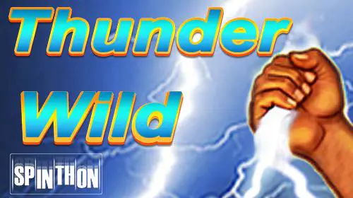 Thunder Wild coverImage
